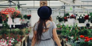 farmers market administration software